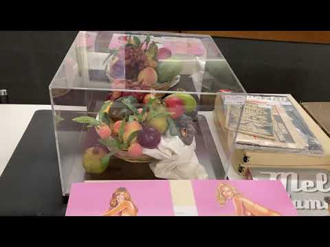 Auktionshaus Sieglin Video 13