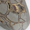 0063-Druse